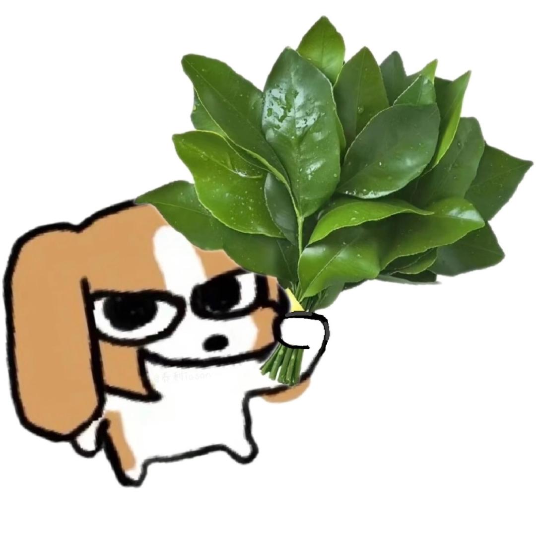 喂要不要跳舞啊