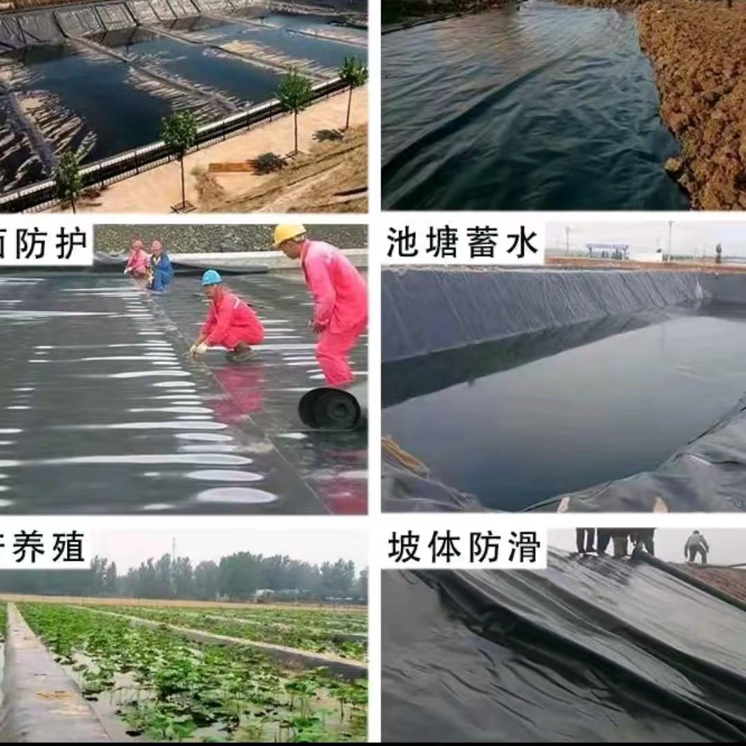 广厦土工膜源头工厂