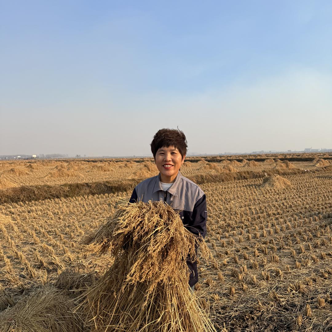 米粮人张艳五常大米
