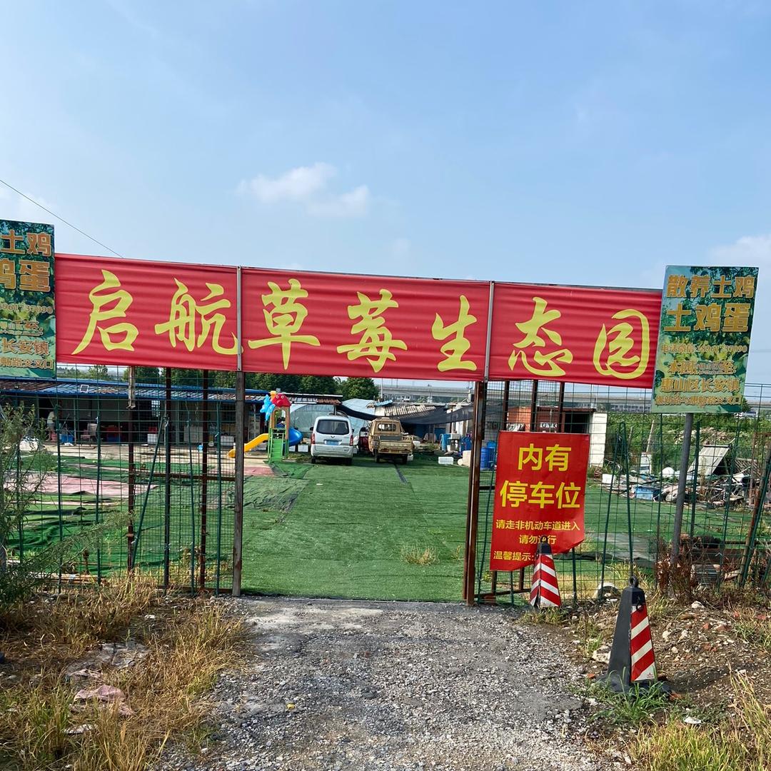 惠山区长安启航草莓生态园