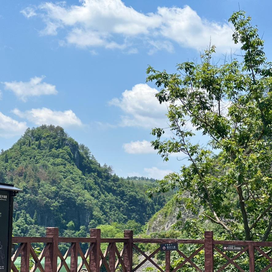 嗨咯，你好