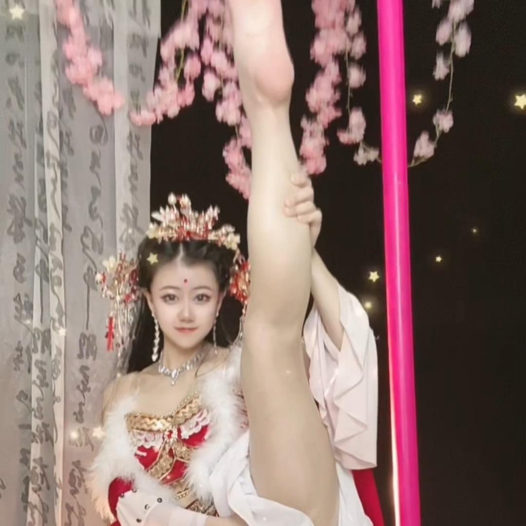 古典舞雅颜(年年舞蹈）