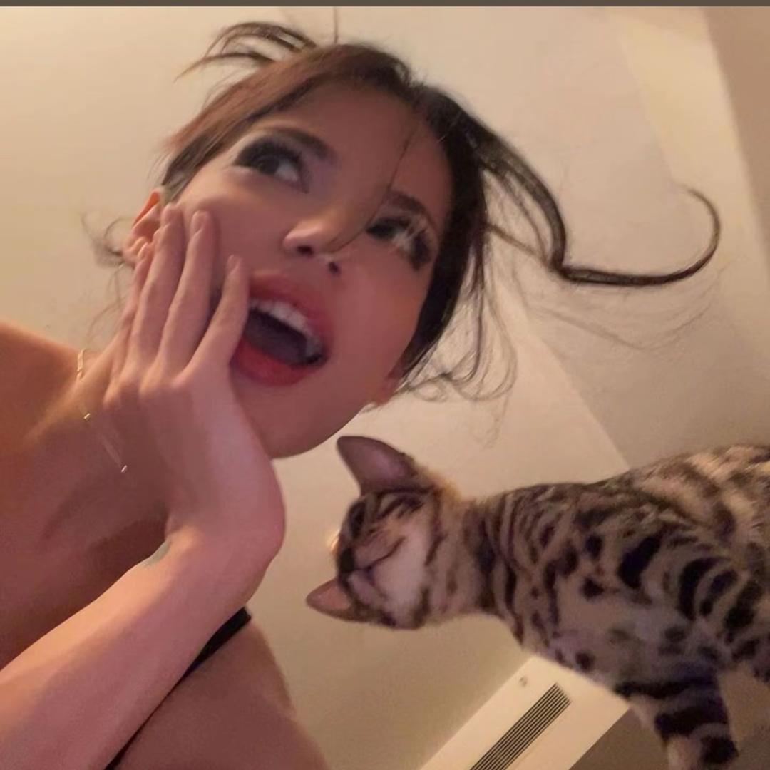 小小豆🫘
