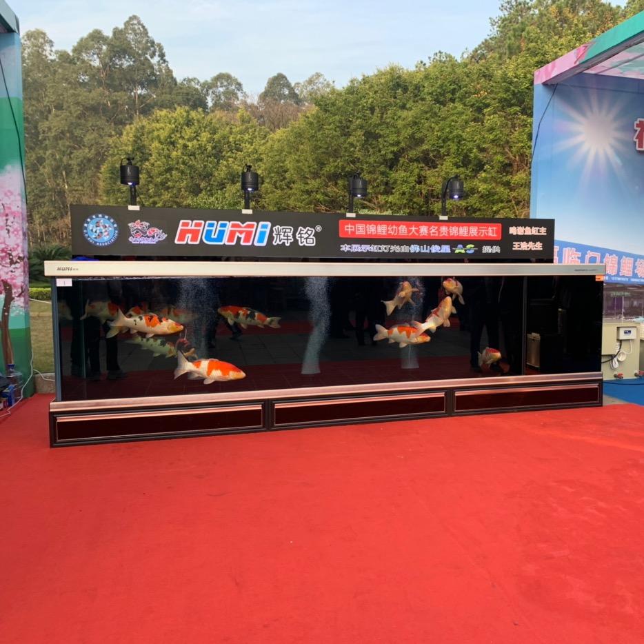 HUMI辉铭锦鲤地缸鱼缸