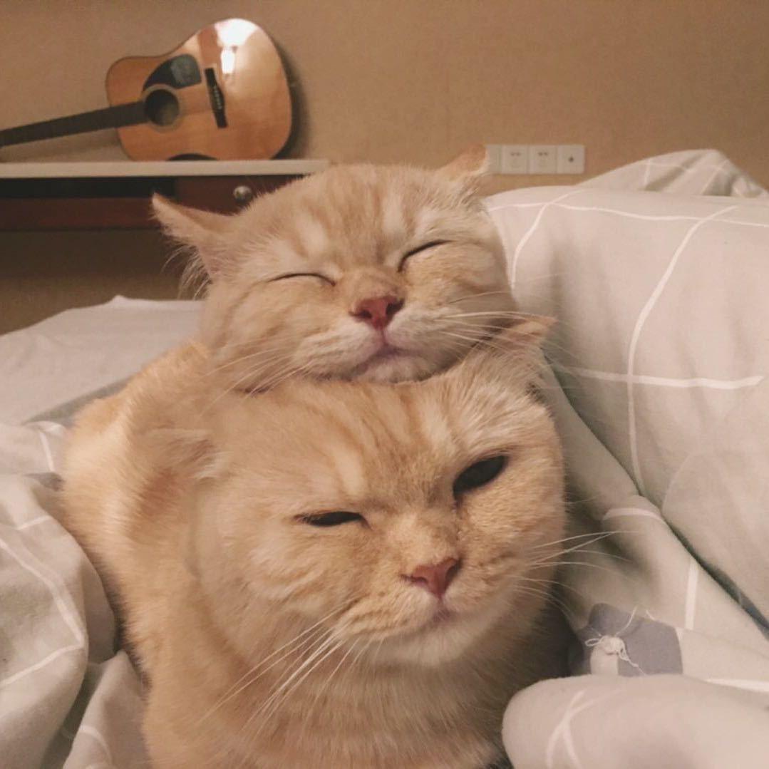替补