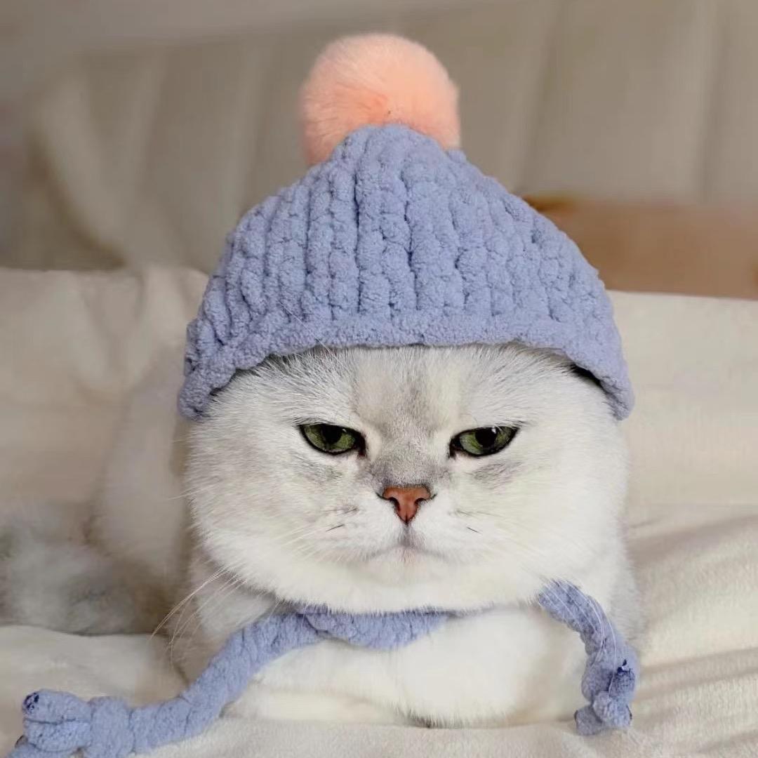 蒙蒙朱