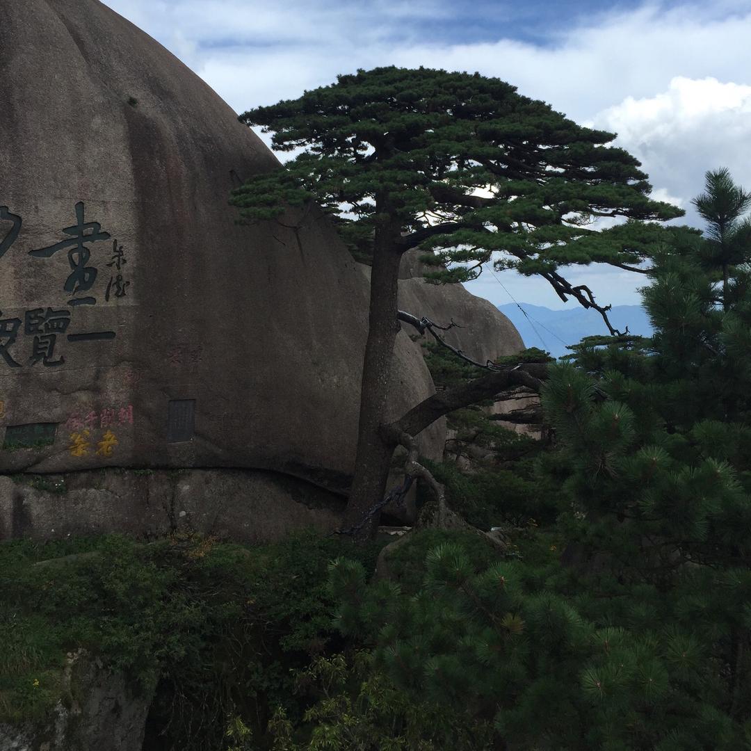 🐂天馬行空🎋