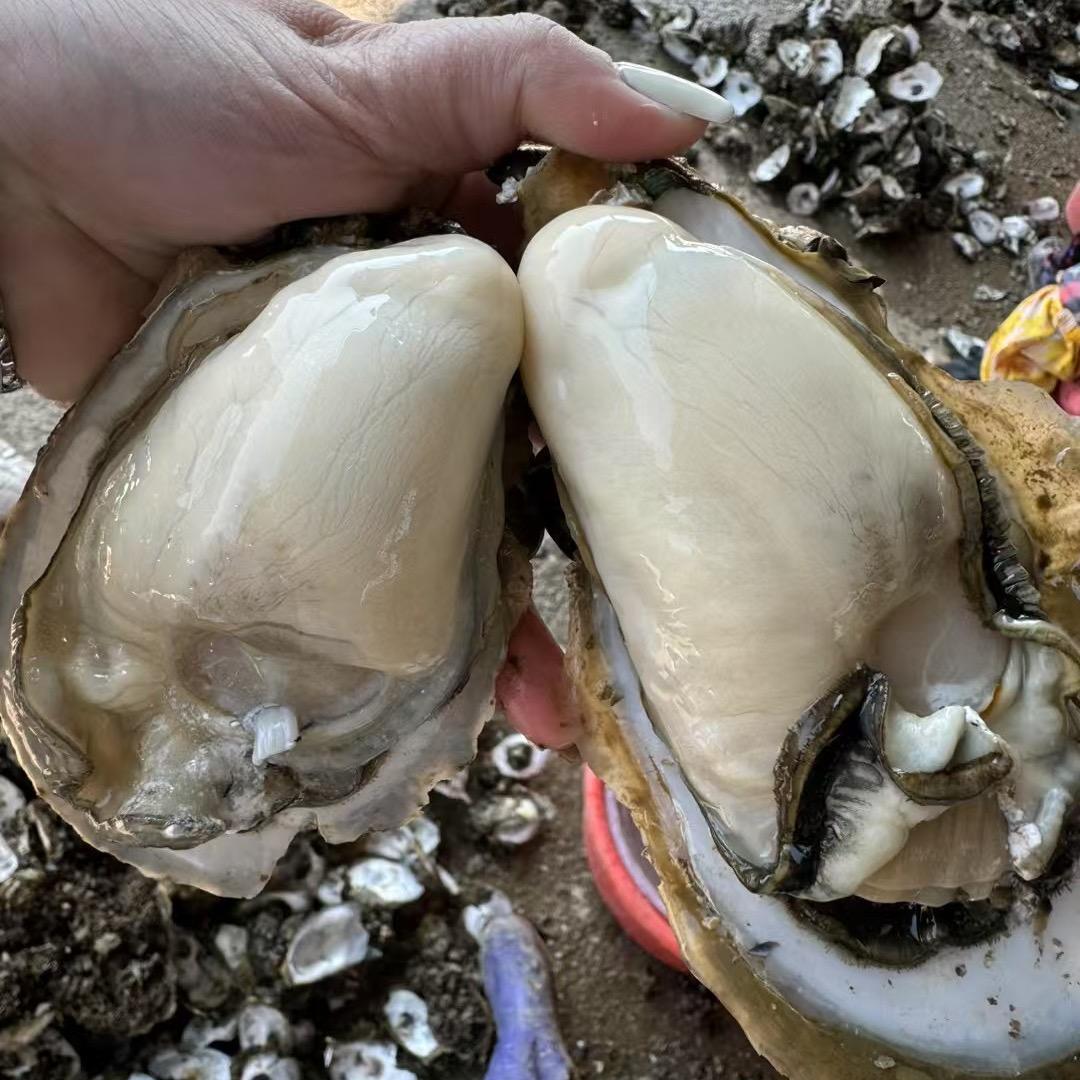 宋记海鲜特产店