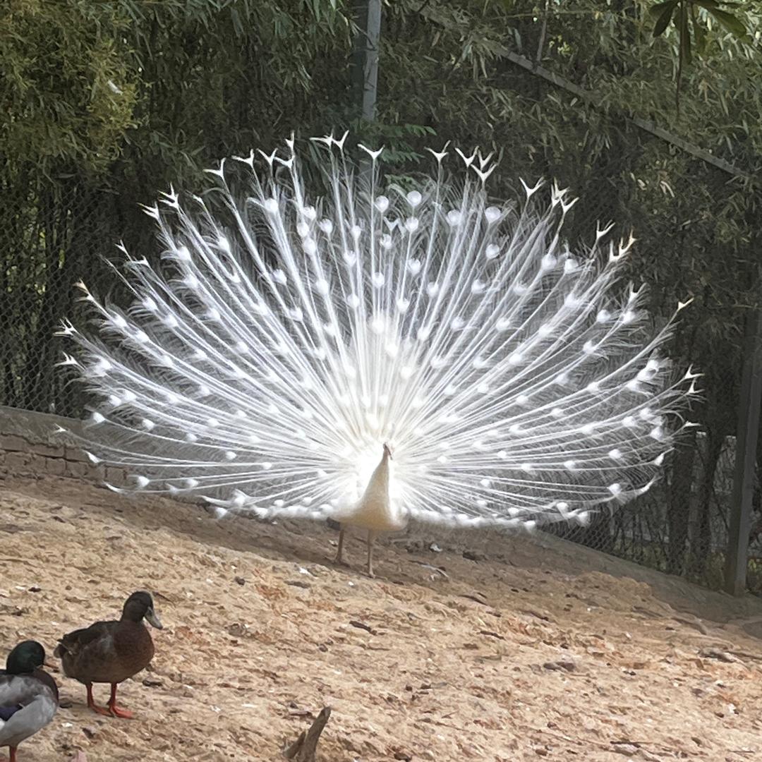 钱程是金