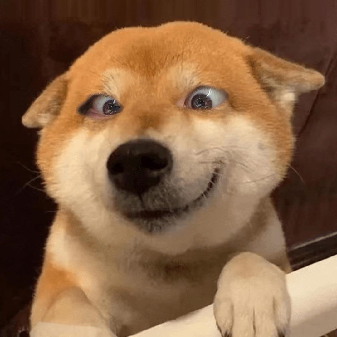 三角洲社恐大叔叔