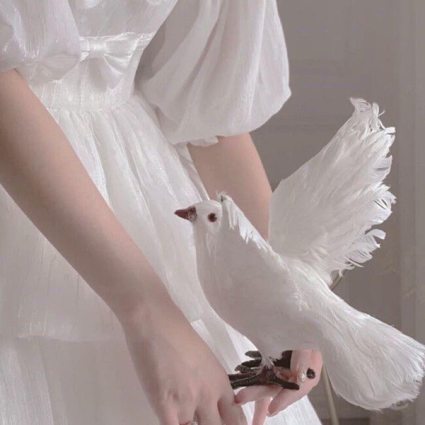 糖糖糖糖葫芦🥝