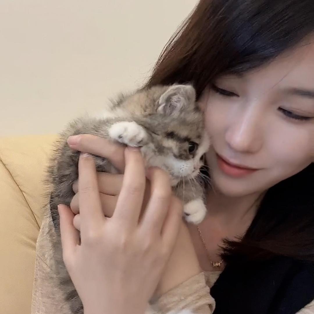 子安说猫