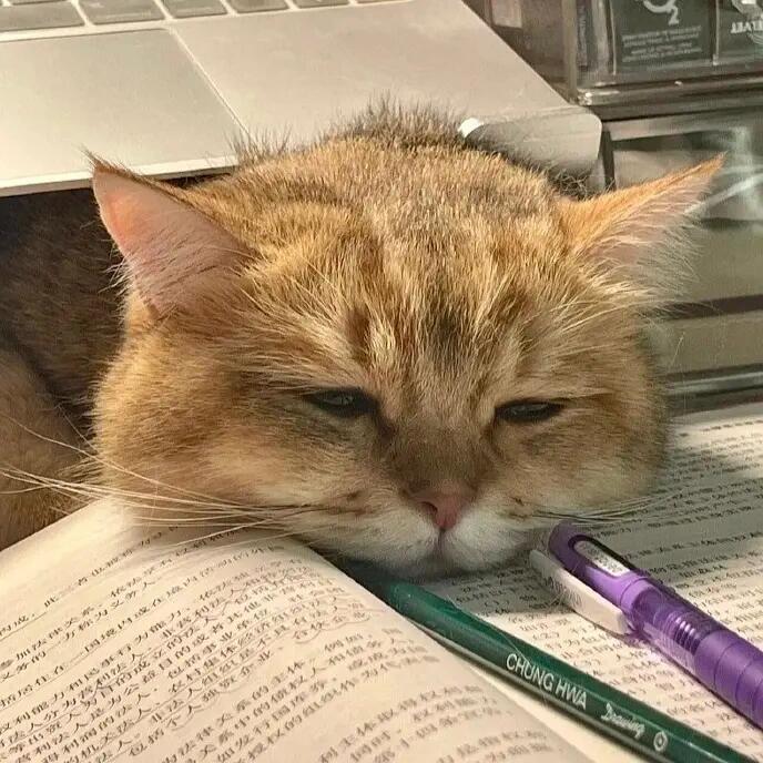 炸🐟卷