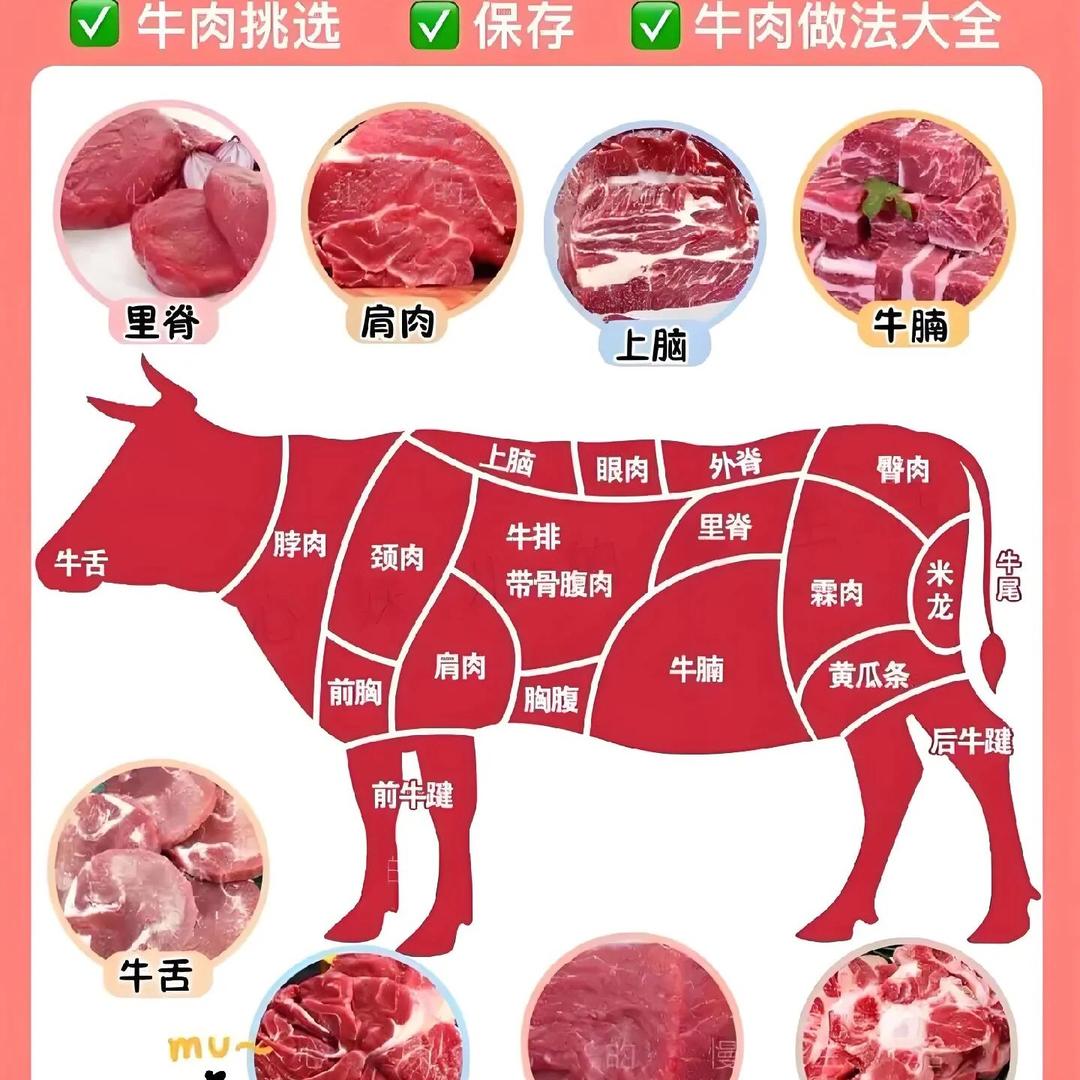 詹生-专供牛前牛后