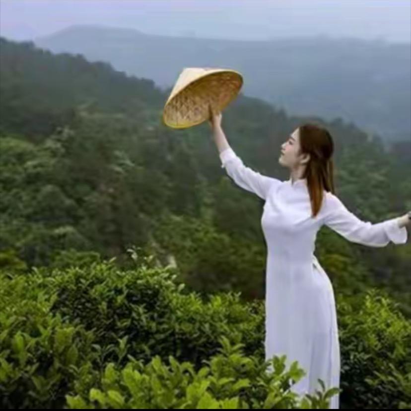 杭州钱塘茶农批发