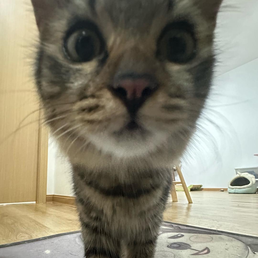 动心