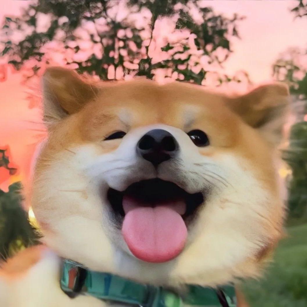 @ᵕ̈ 香蕉你个不娜娜