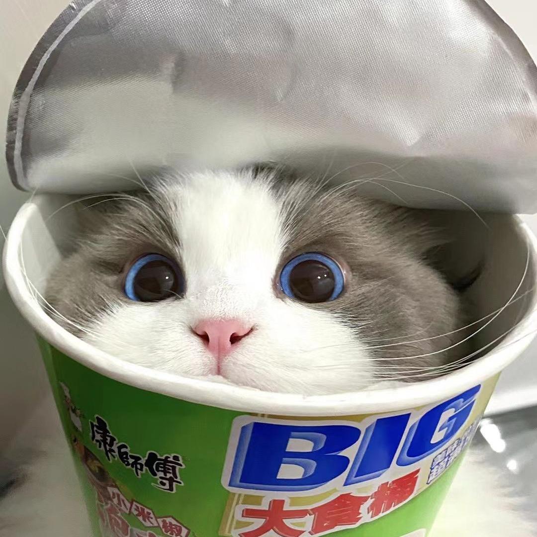 小趴菜7777