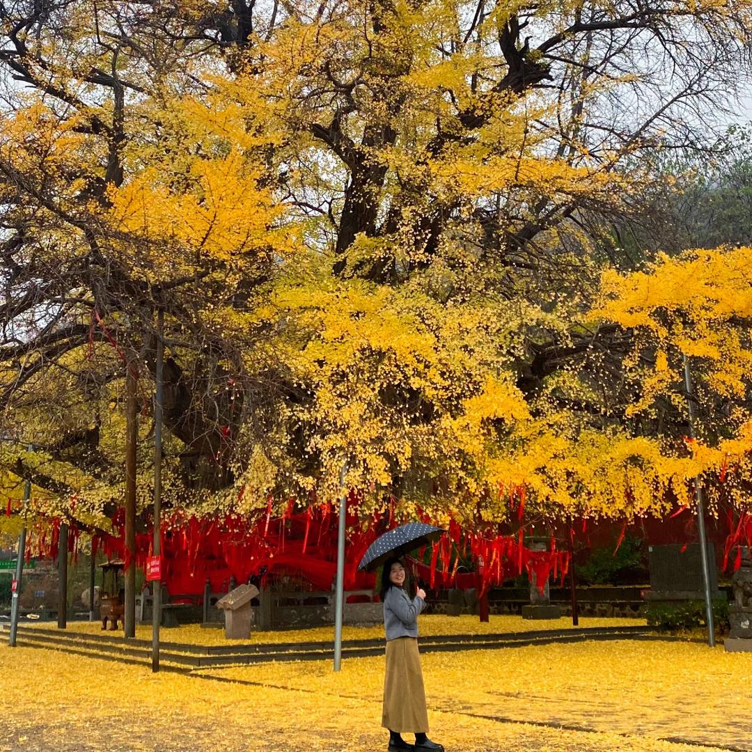 赫辰石化（安丘白芬子大集南）