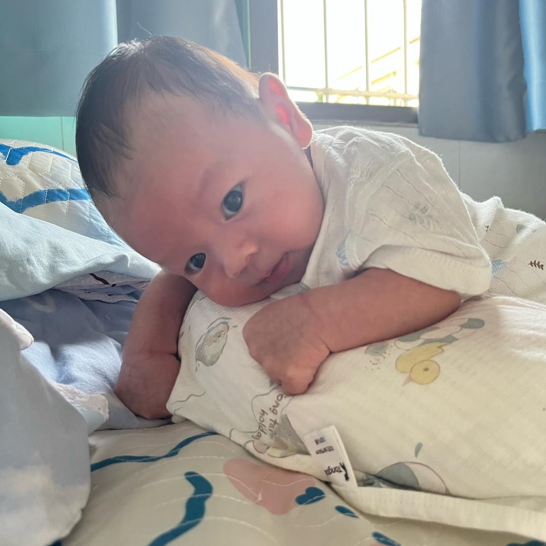 小辰在这里吖🍼