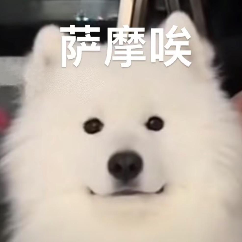 苏里酥梨（还我妈生流量