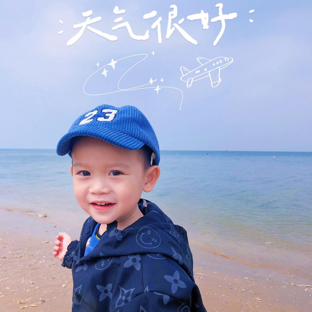 VV杨
