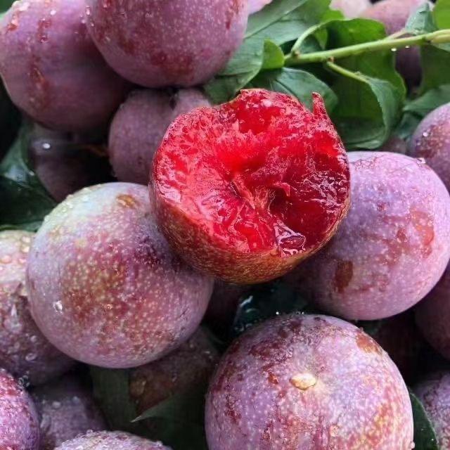 超前水果🍉