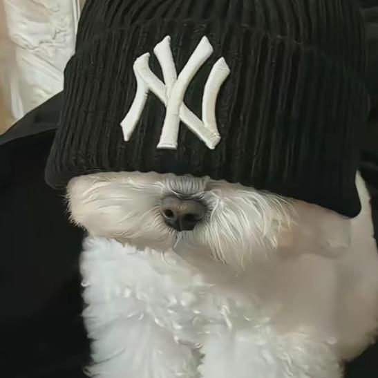 命比黄连苦三分