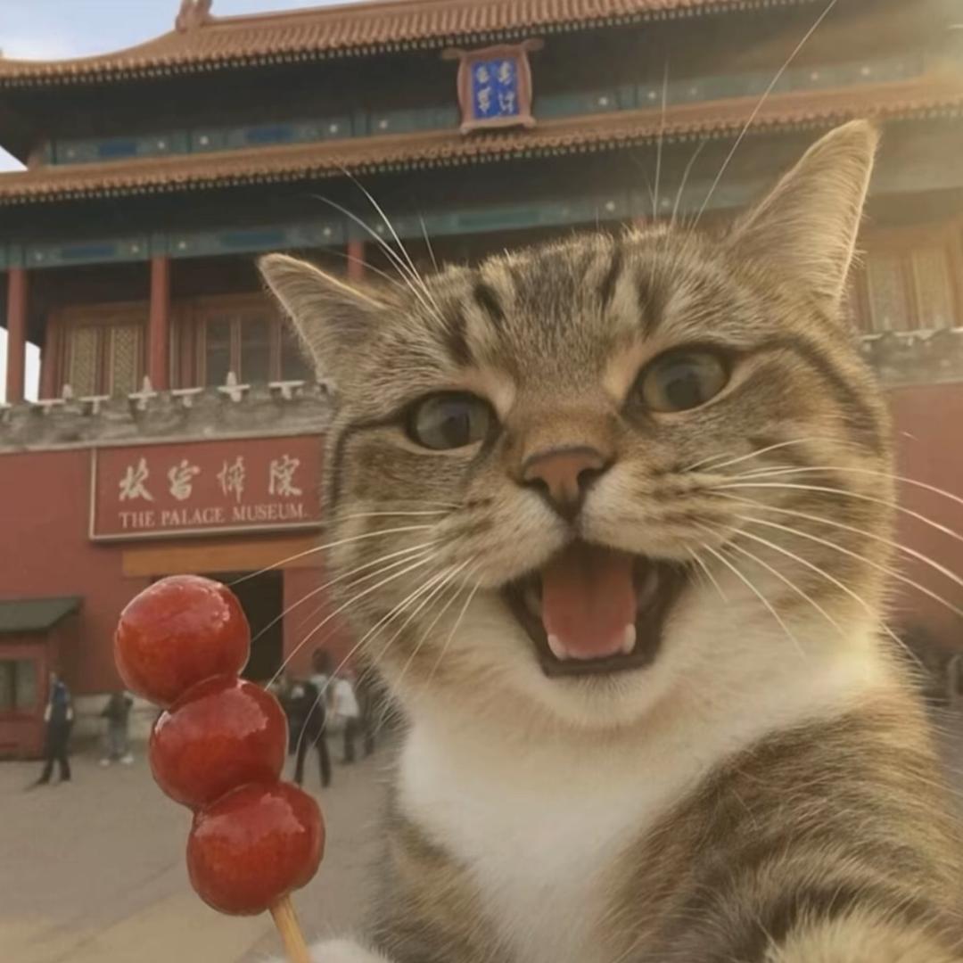 王教官《强》