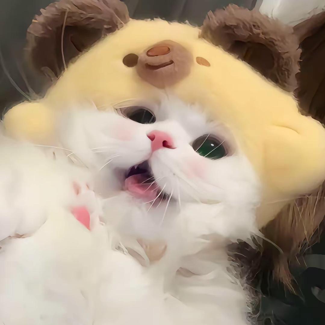 ·哦