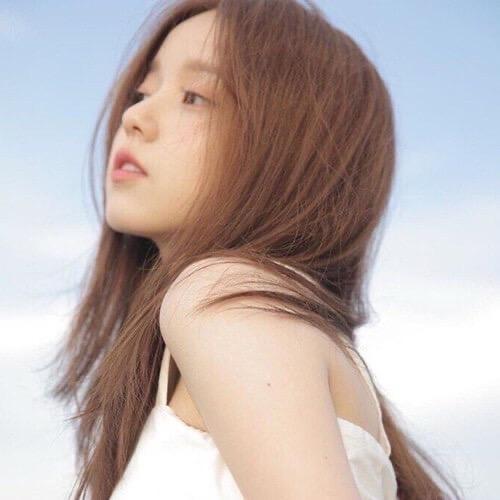 风止意难平🎈