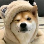 享受