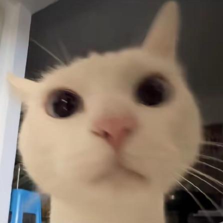 愛