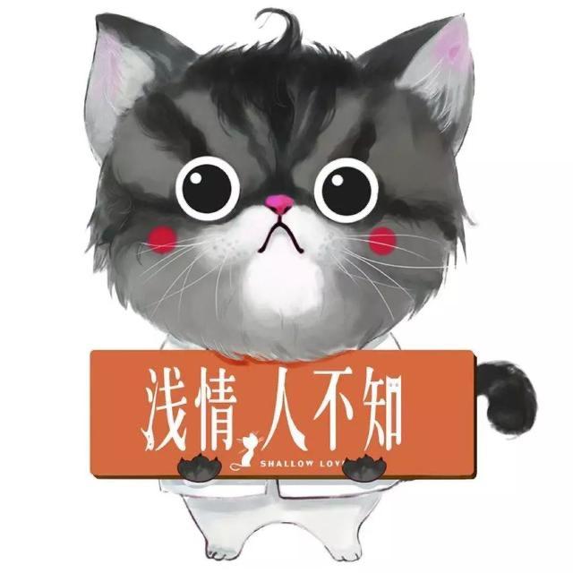 引力&