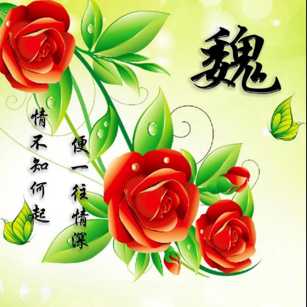 风吹一生！