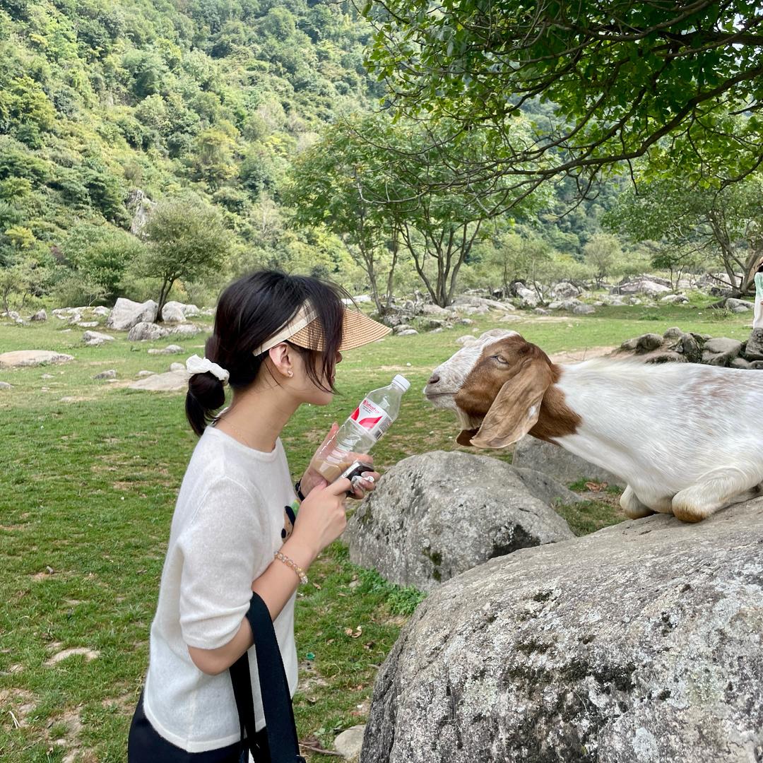 瑶妹.🐑