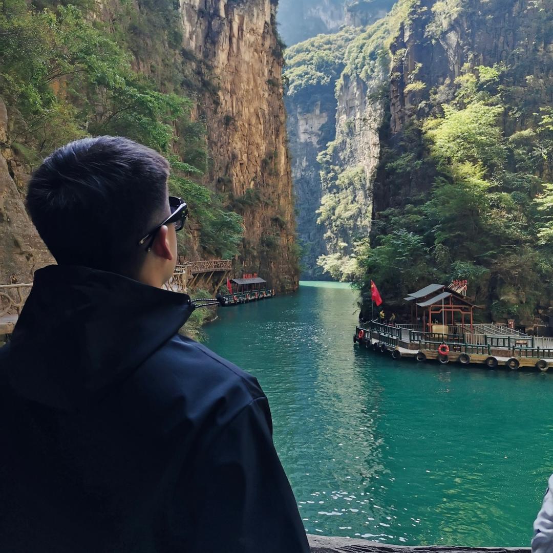 两只杨