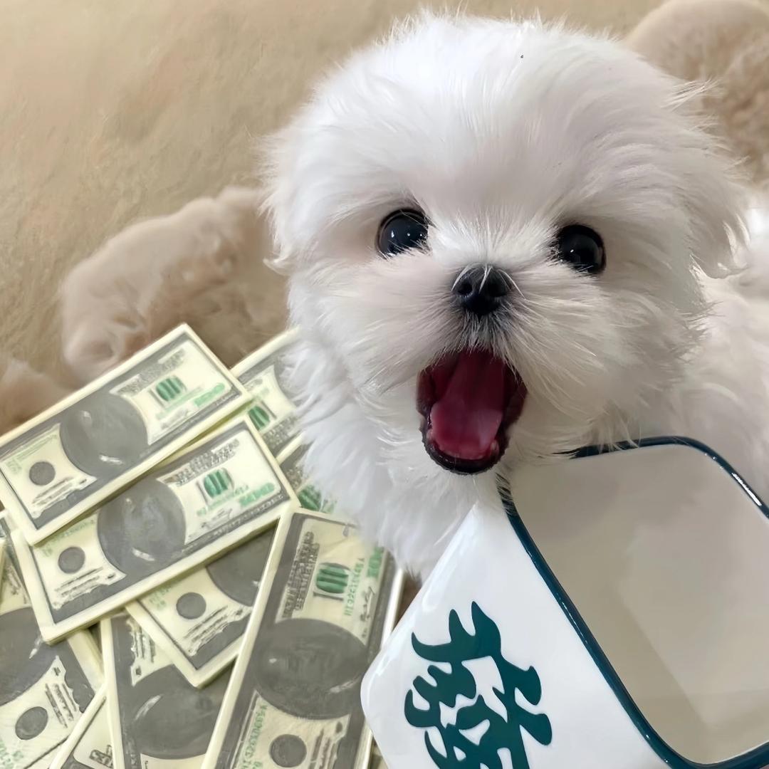 王俞