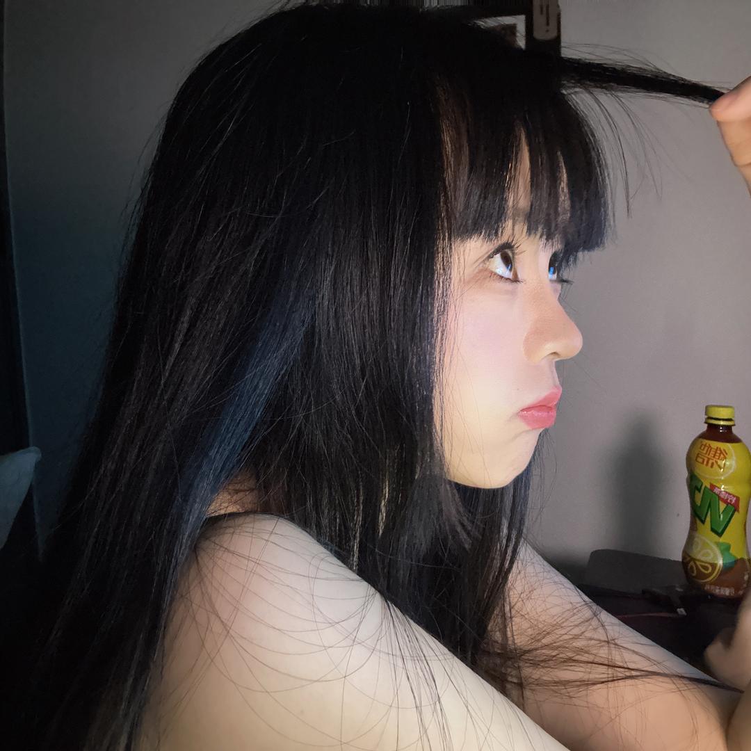 油尖旺金毛玲