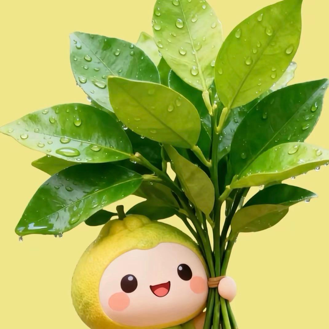 👑做自己的光