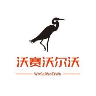 沃赛沃尔沃精品升级