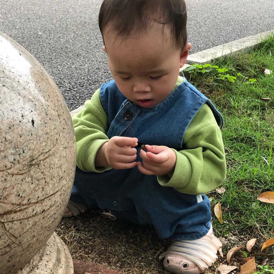 麦兜没有兜