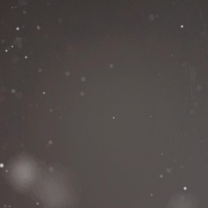 爱睡觉