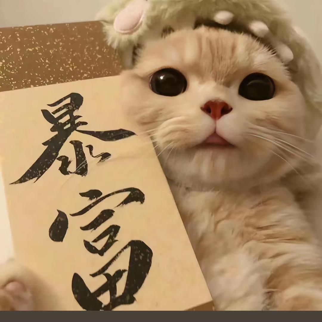🌱°°上上ꫛ簽ഒᩚ࿐