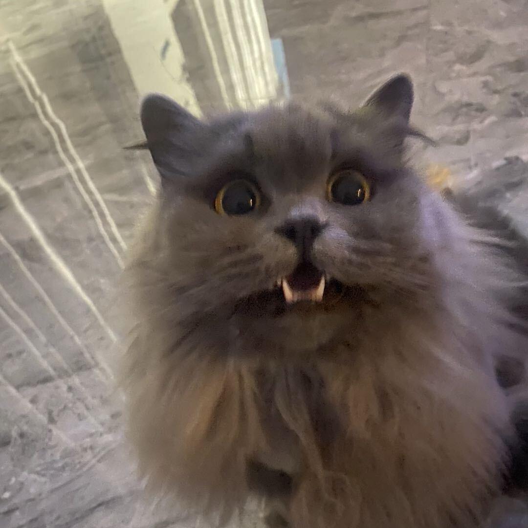 小欠儿and溅驴🫏