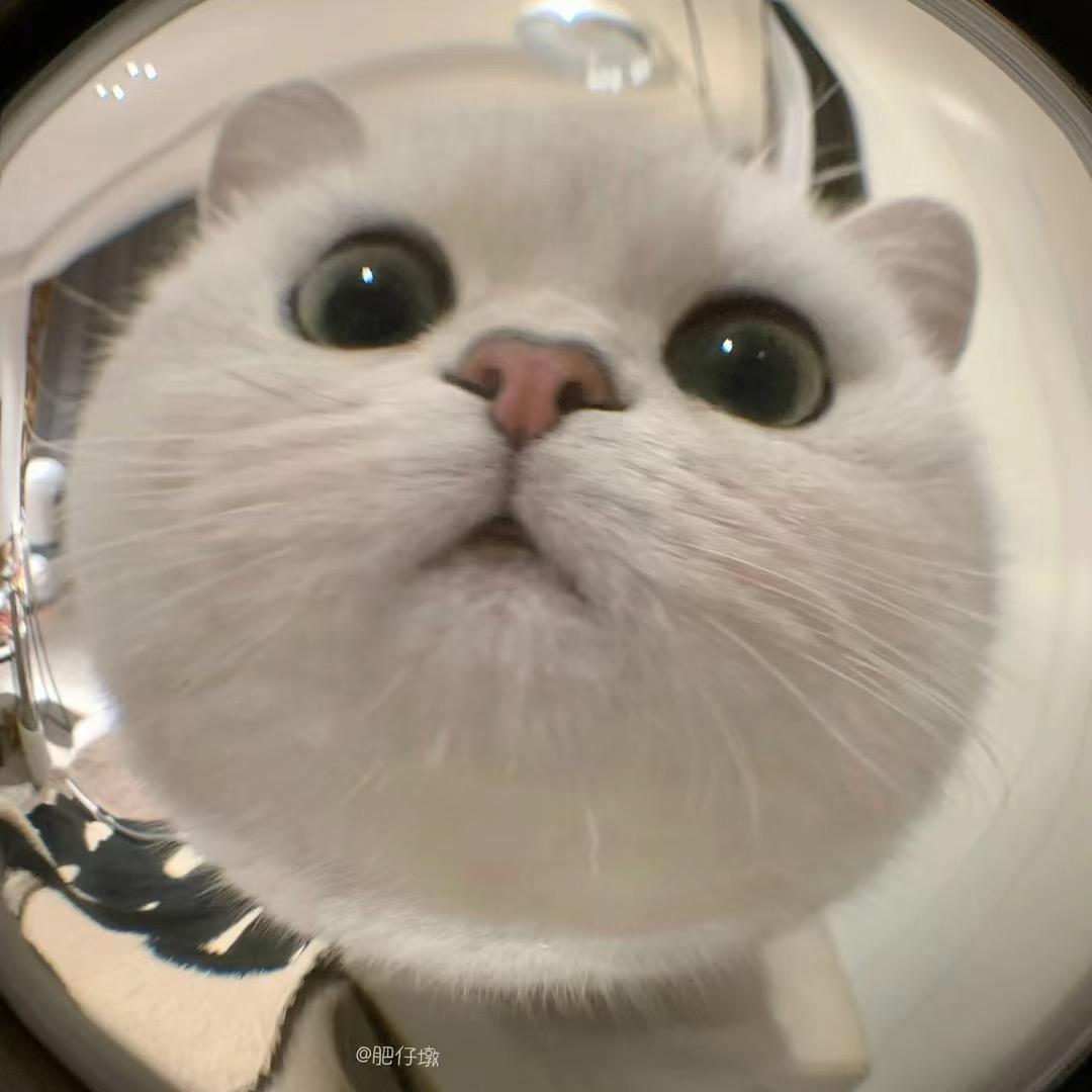 顾小颜