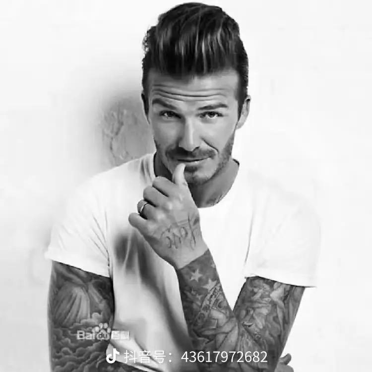 后宫三万你又奈我何