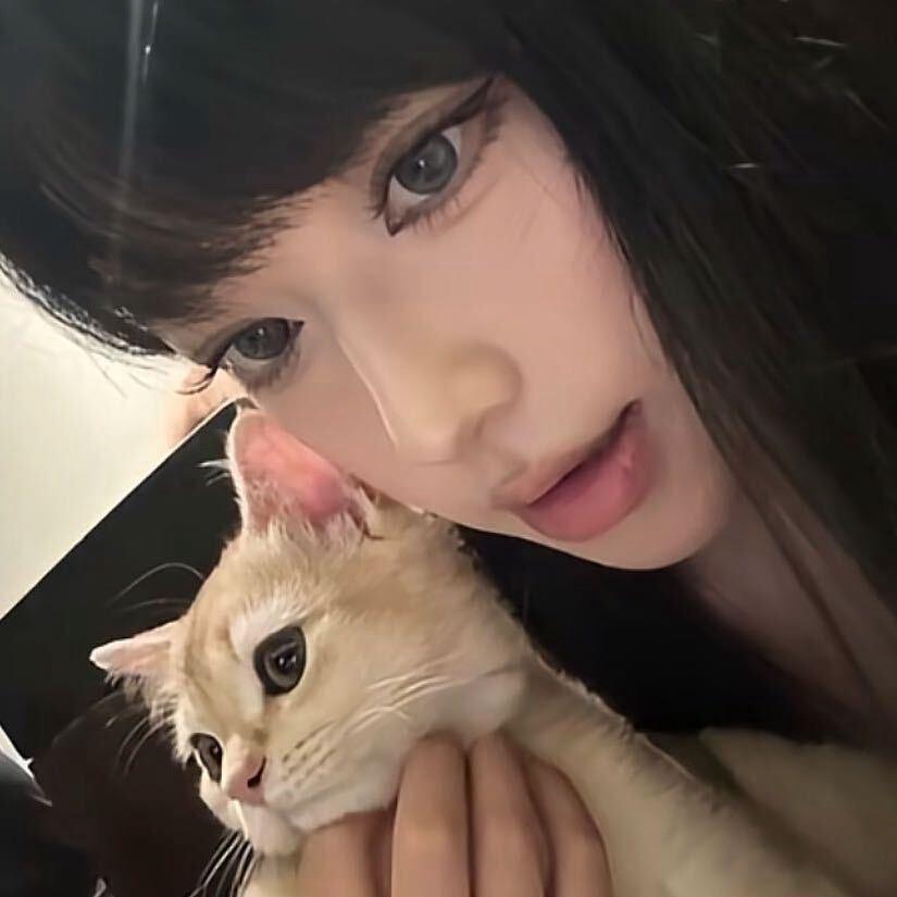 烦恼豆沙掉