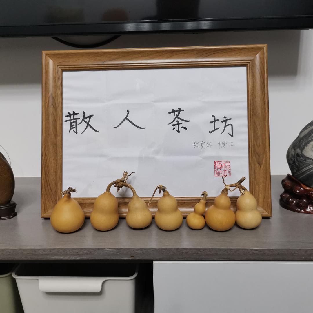 扬帆启航（散人茶坊）