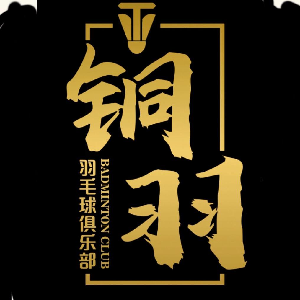 铜羽青少年羽毛球训练基地